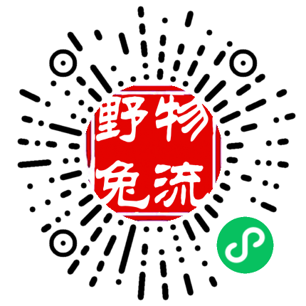 手機官網(wǎng)
